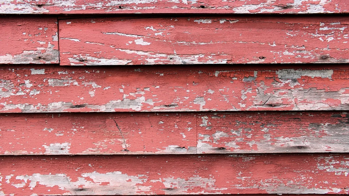 Choisir la peinture pour bois : les meilleures options en 2026