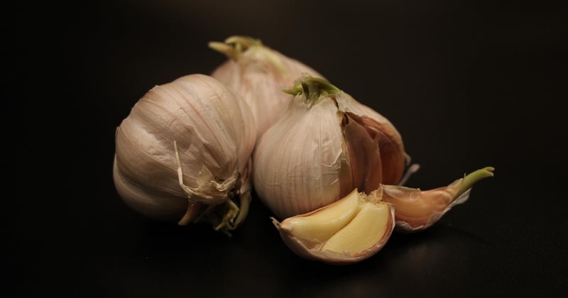 Peinture de cuisine : comment choisir une lessivabilité excellente