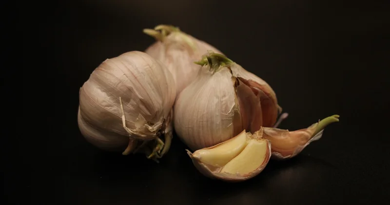Peinture de cuisine : moins cher, c'est possible ?